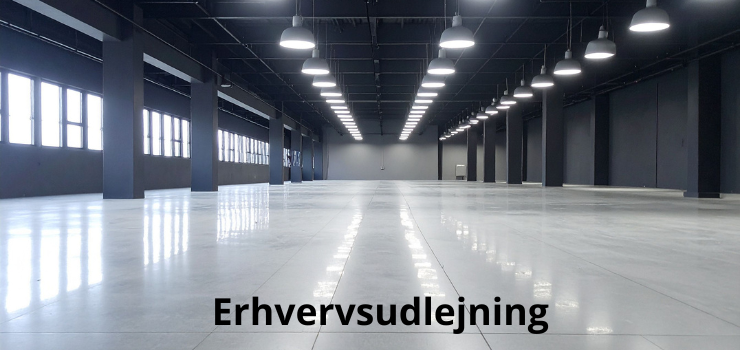 Erhvervsudlejning