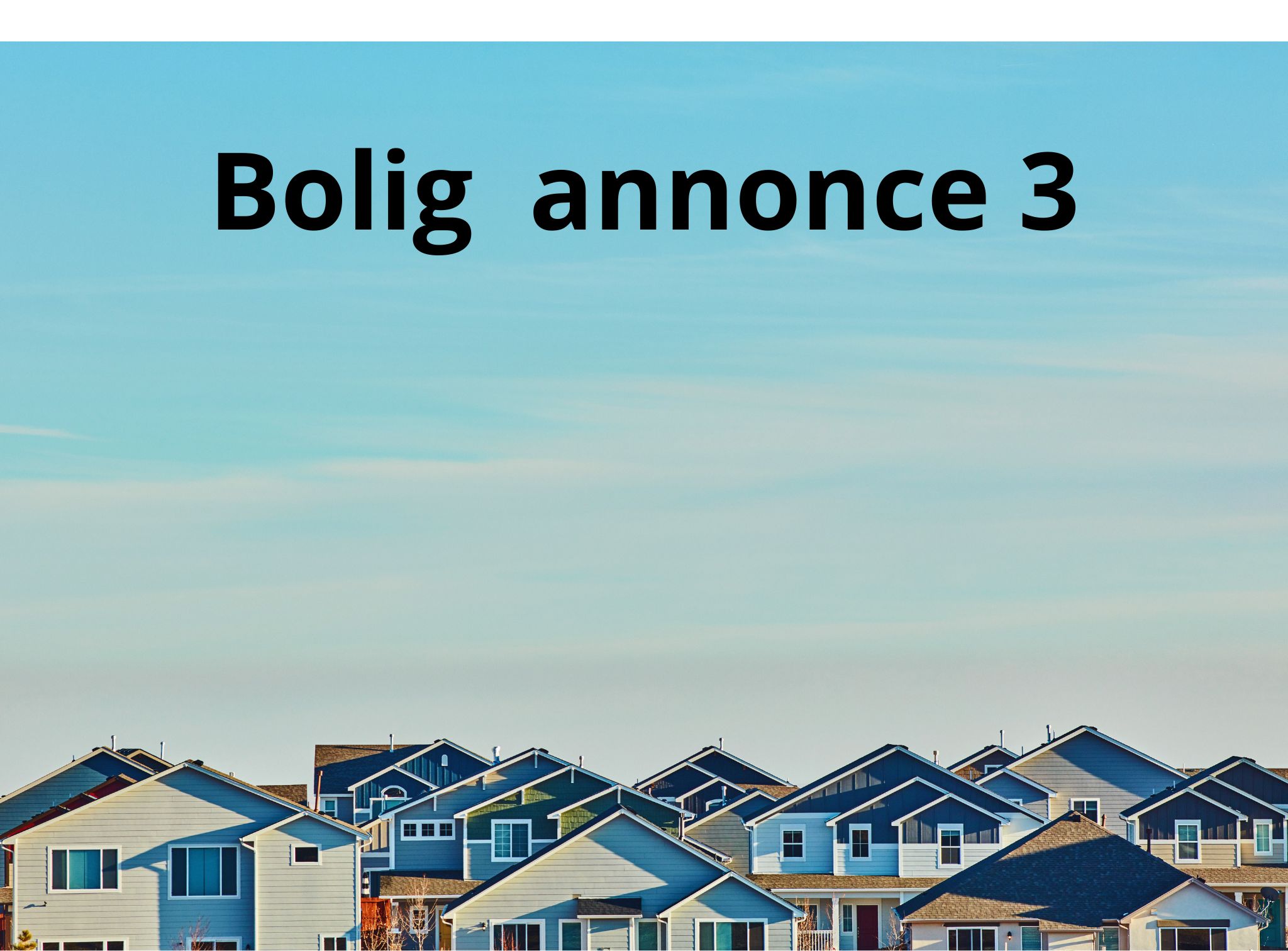 Billede 4